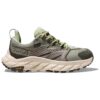Anacapa Low GORE-TEX ‘Verde Semente de Cevada’