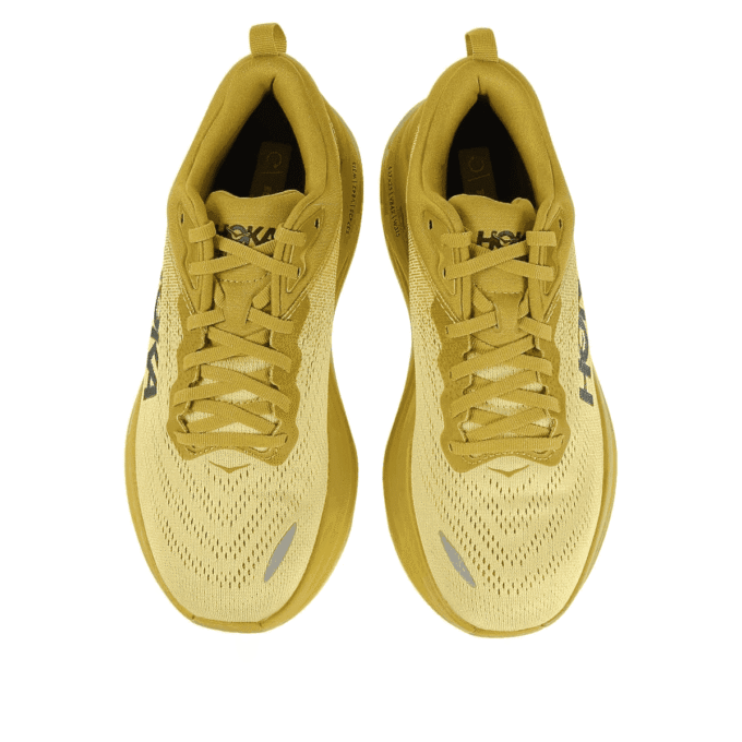 Bondi 8 ‘Líquen Dourado’