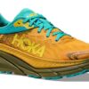 Challenger ATR 7 GORE-TEX ‘Abacate Amarelo Dourado’