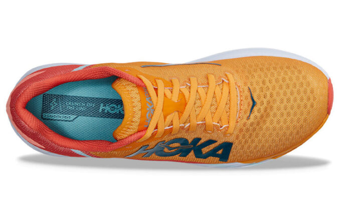 Rocket X ‘Camélia Amarela Radiante’