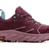 (WMNS) Anacapa Low GTX ‘Uva Vinho Sabugueiro’