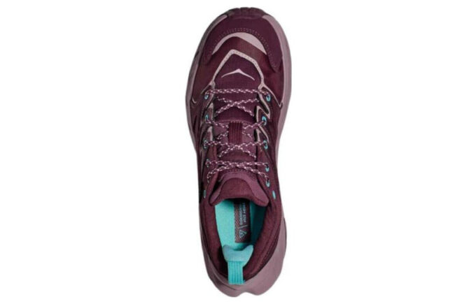 (WMNS) Anacapa Low GTX ‘Uva Vinho Sabugueiro’